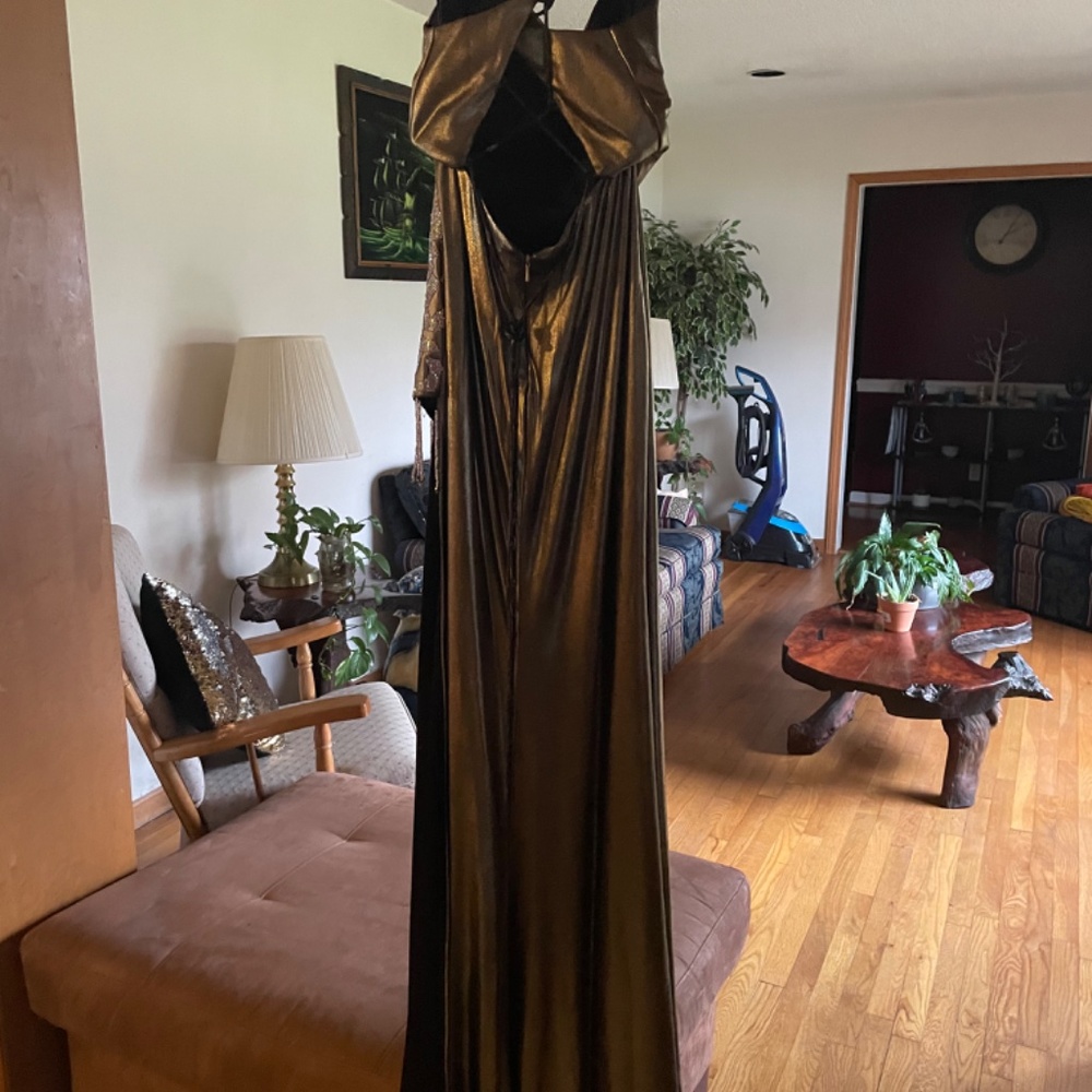 Prom Dress - Picture 3 of 4